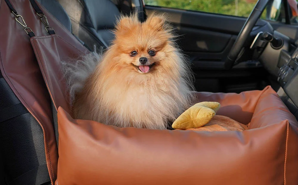 Nissan Murano Dog Car Seat for Beagles
