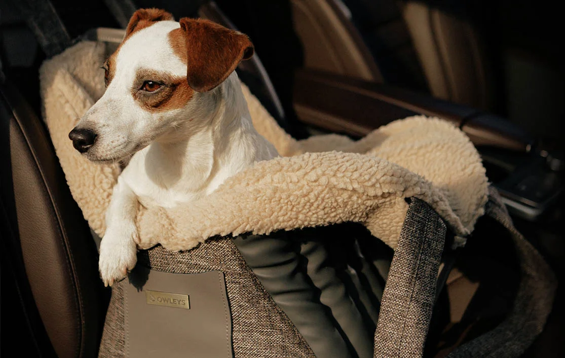 Volkswagen Passat Dog Carrier Car Seat for Schipperke