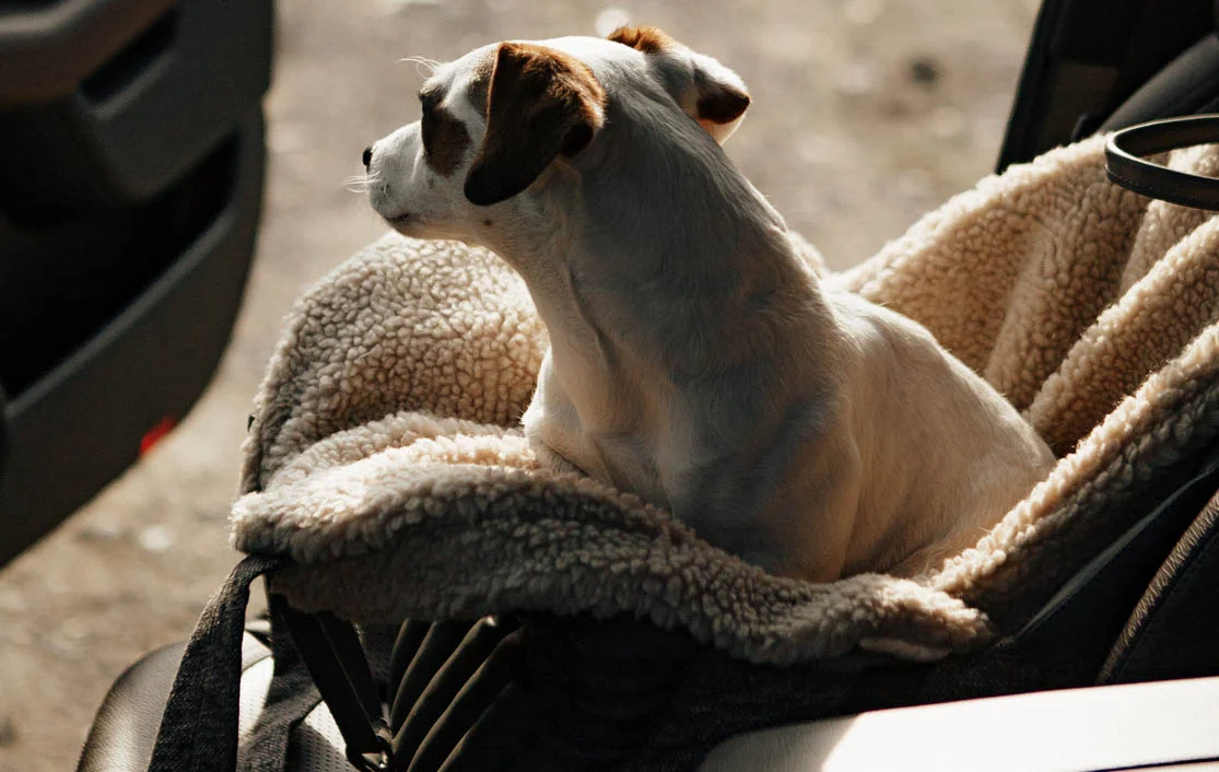 Boston Terrier Dog Carrier Car Seat for GMC Sierra