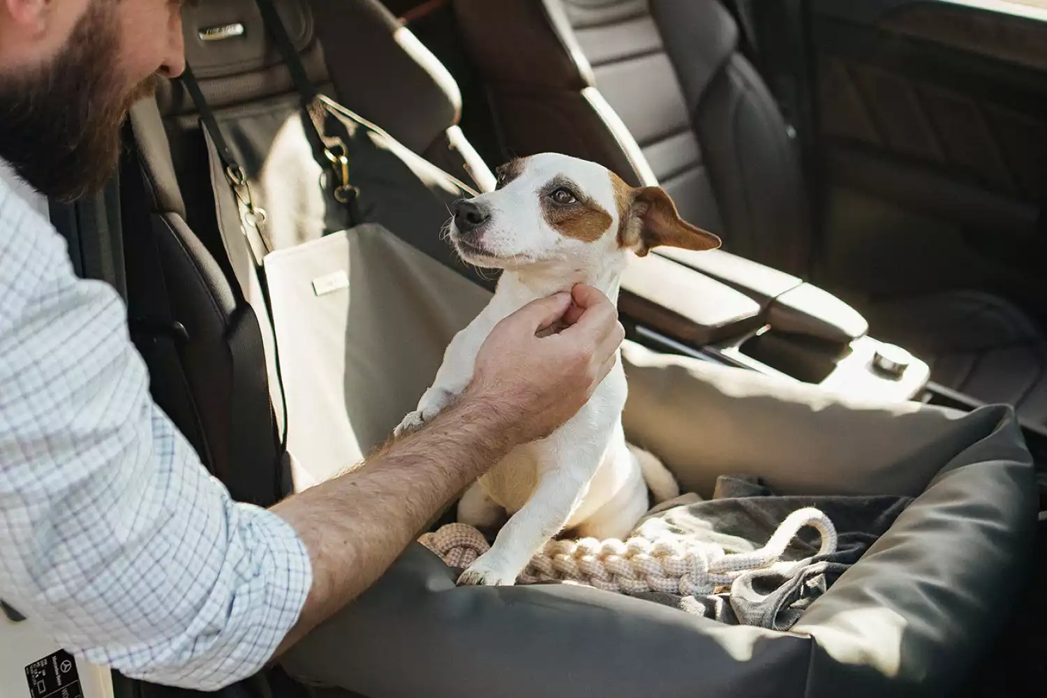 Biewer Terriers Dog Car Seat for Tesla Model Y
