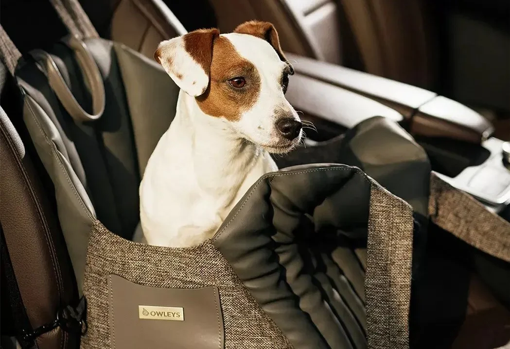 Bichon Frise Dog Carrier Car Seat for Kia Forte