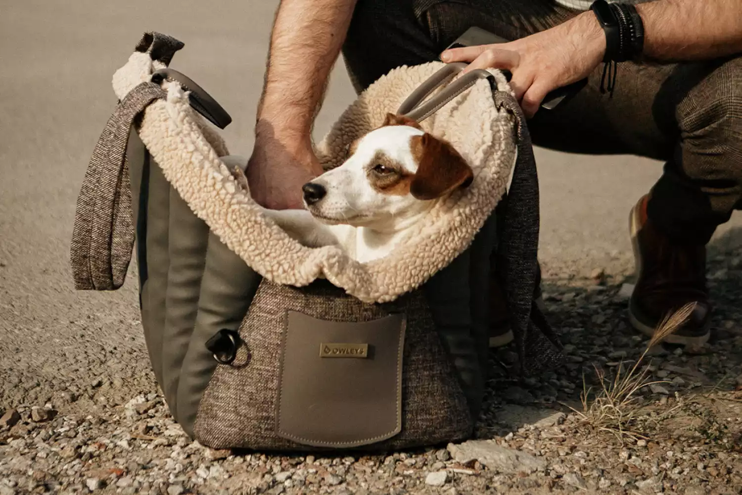 Dog Carrier Purse for Toy Australian Shepherd