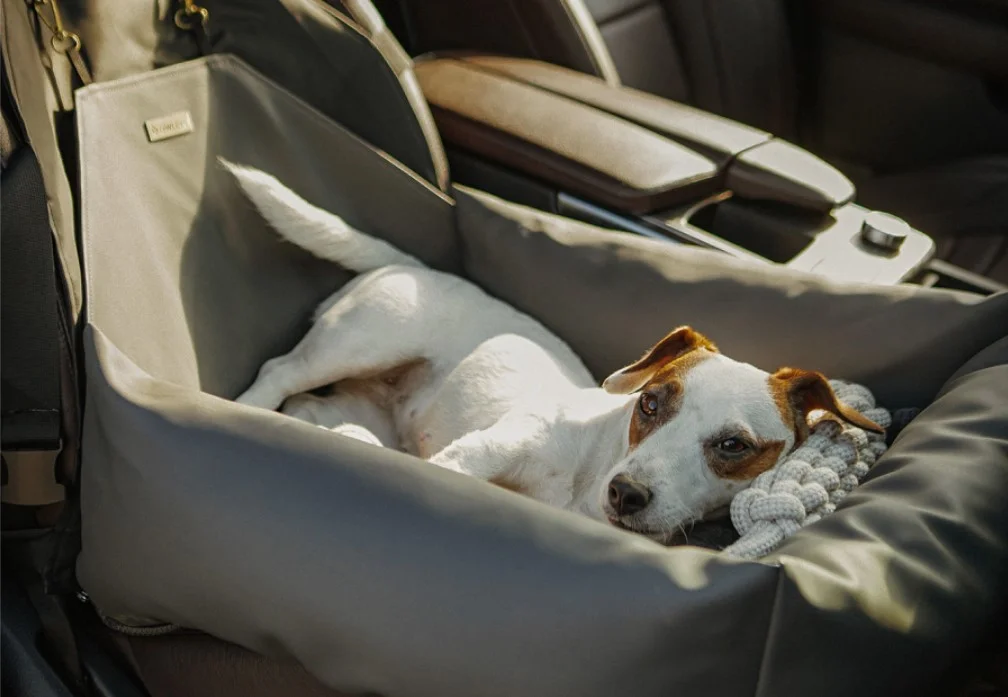 Volkswagen Passat Dog Car Seat for Rat Terriers