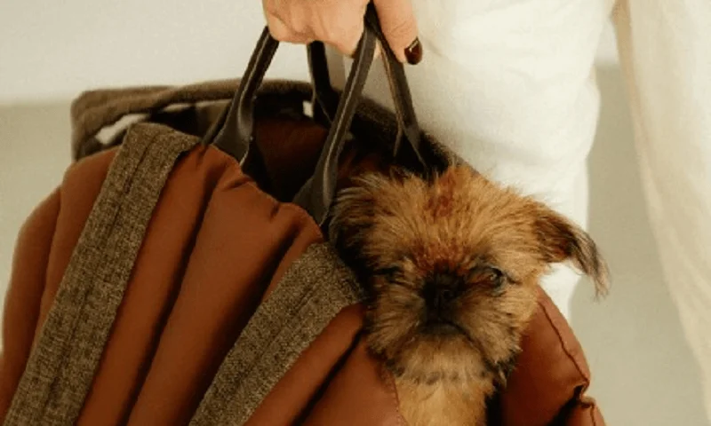 Dog Carrier Purse for Toy Poodle