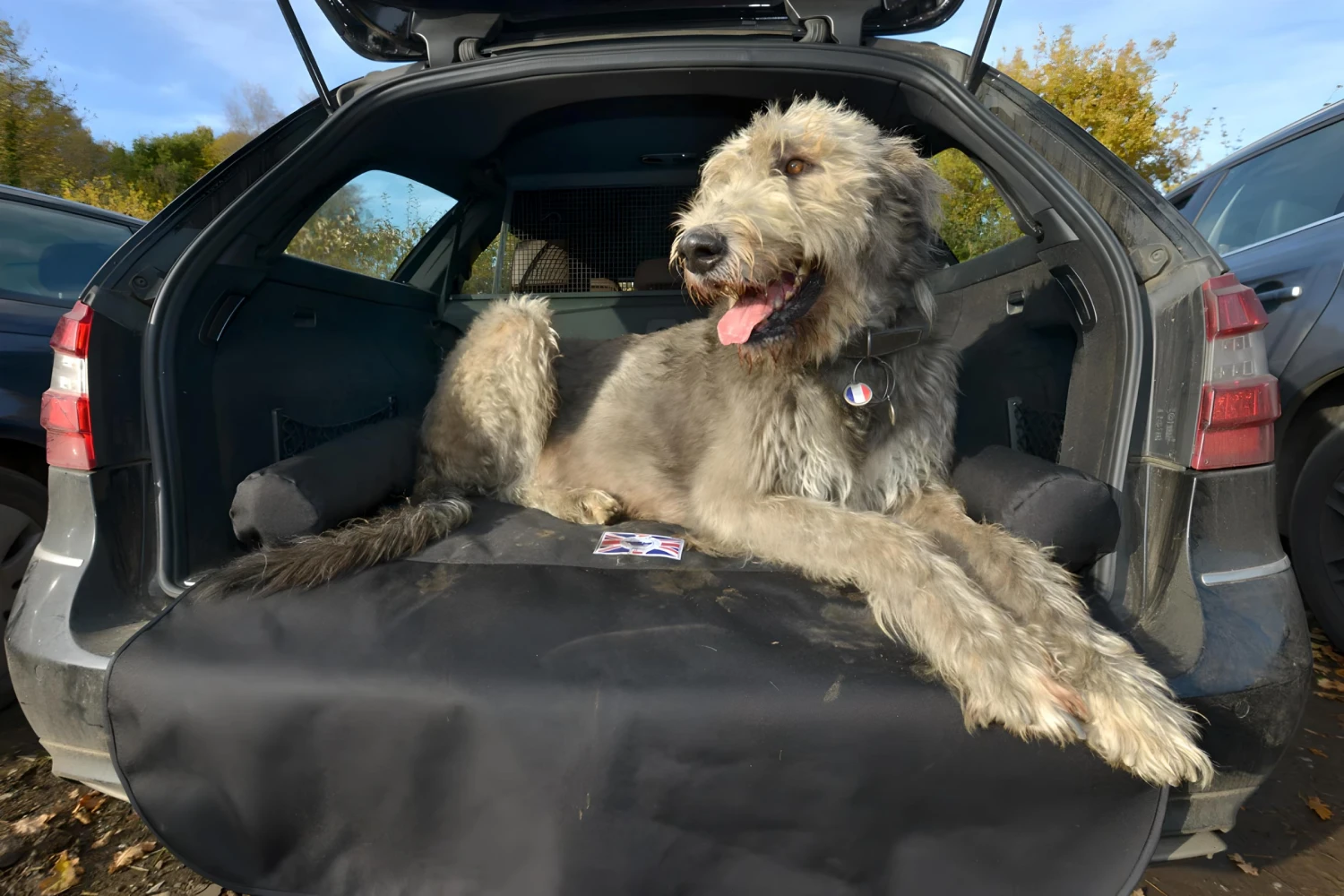 Nissan Pathfinder Dog Car Seat Belt for Irish Wolfhounds