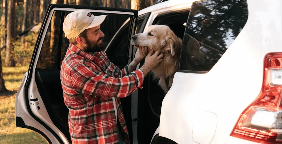 Labrador Retrievers Dog Car Seat Belt for Dodge Grand Caravan