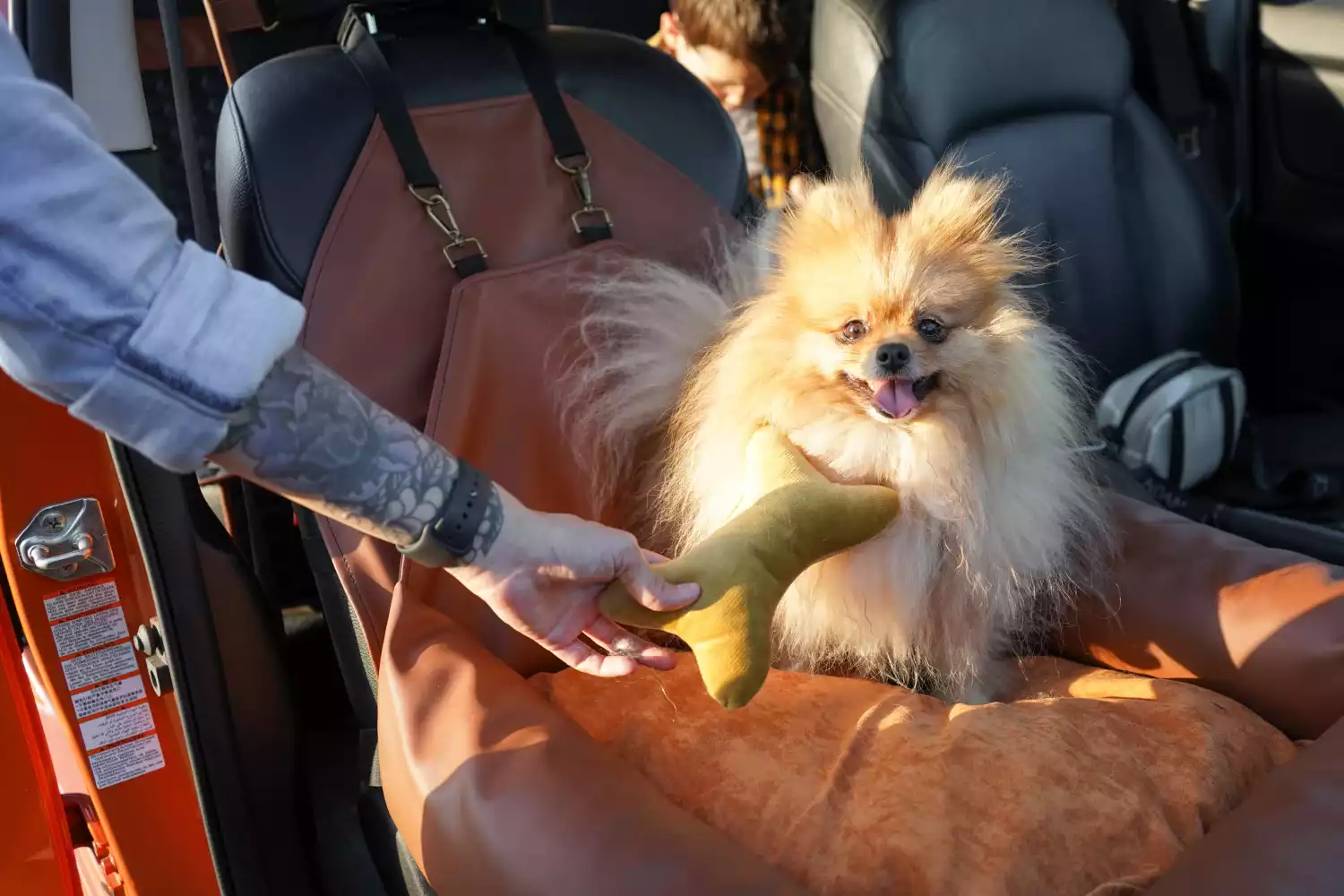 Buick Enclave Dog Car Seat for Shih Tzu