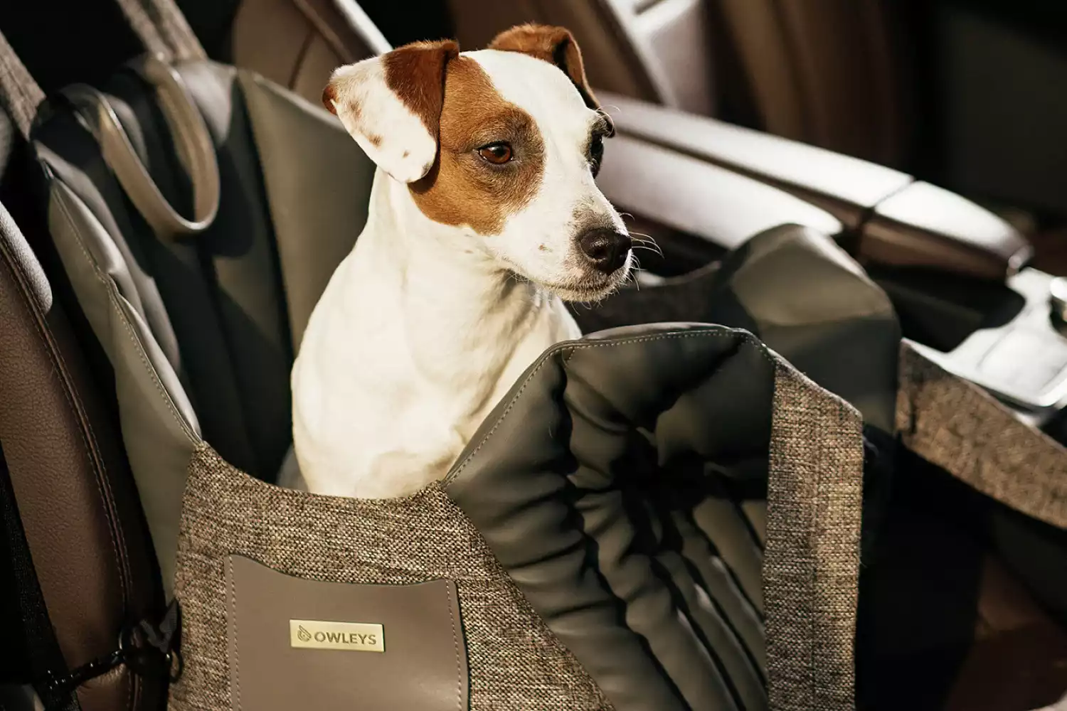 Toyota Prius Dog Carrier Car Seat for Tenterfield Terrier