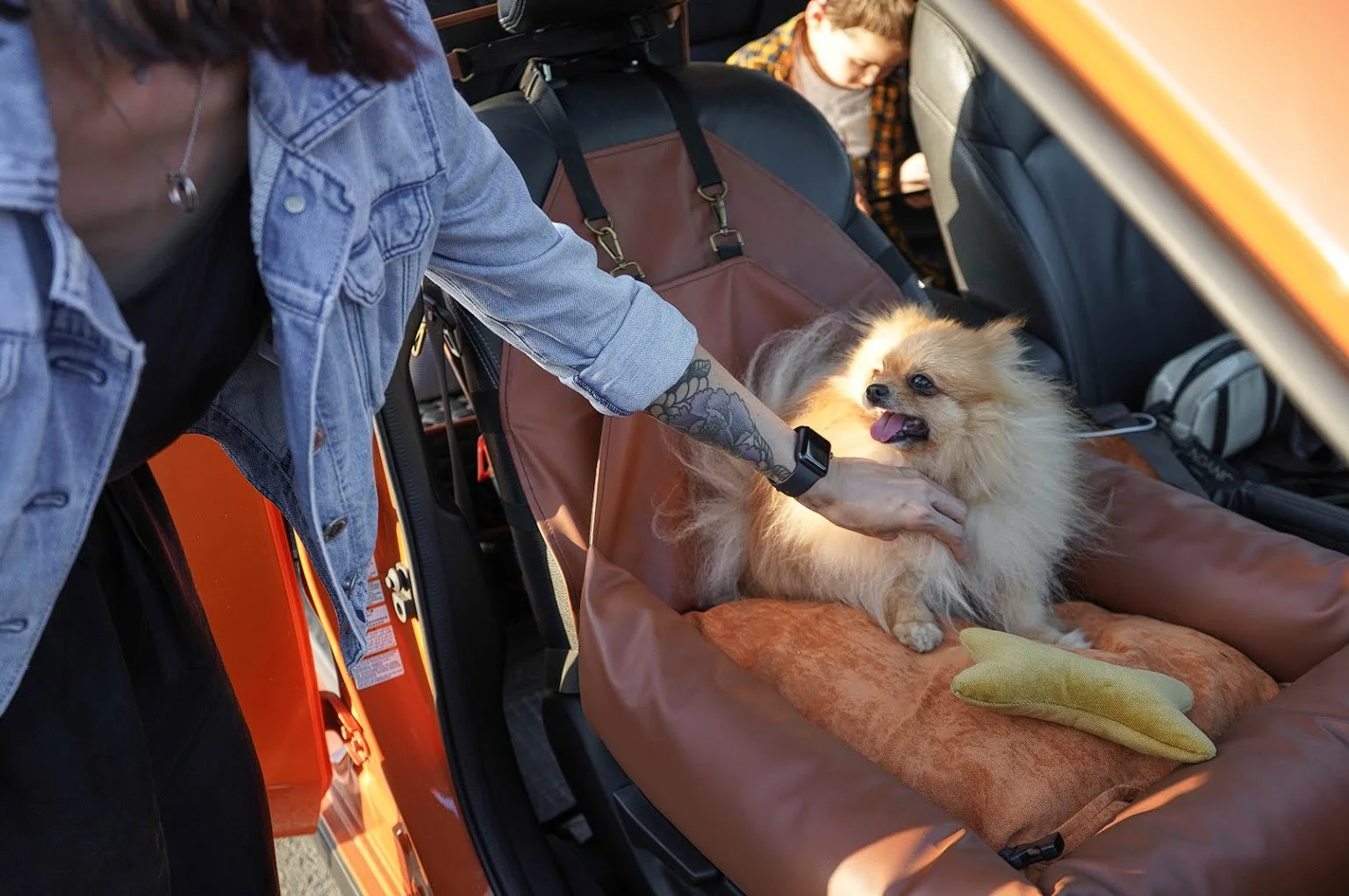 Honda HR-V Dog Car Seat for Boston Terriers